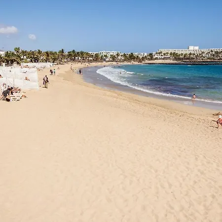 Conylanza Tabayba コスタ・テギセ